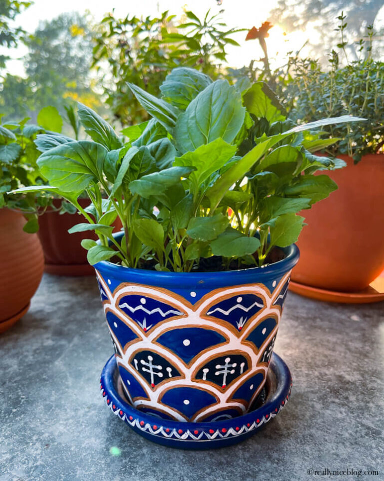 Painting Terracotta Pots with Acrylic Paint RLLY NICE