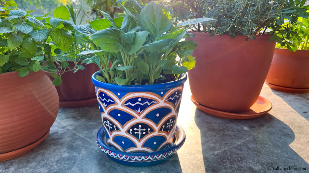 Painting Terracotta Pots with Acrylic Paint RLLY NICE