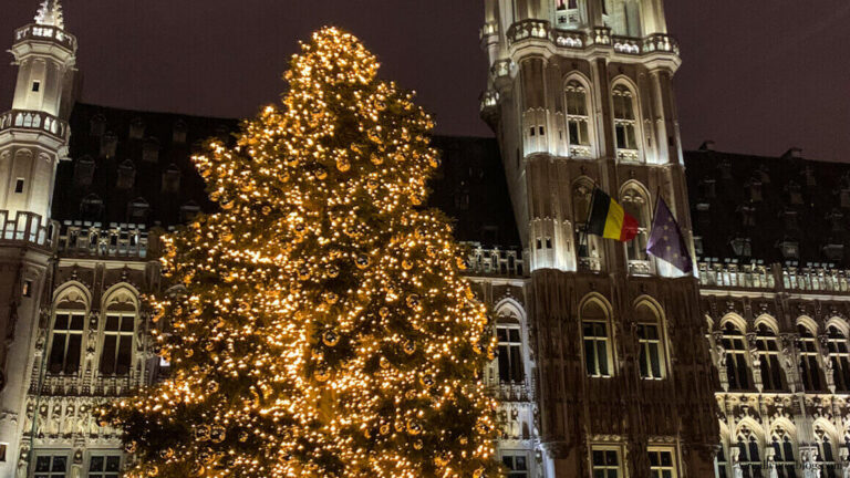 Brussels Christmas Market. Christmas tree at the Grand Place